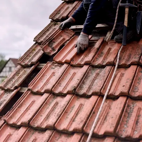 Linde Birk – Dachreparaturen
